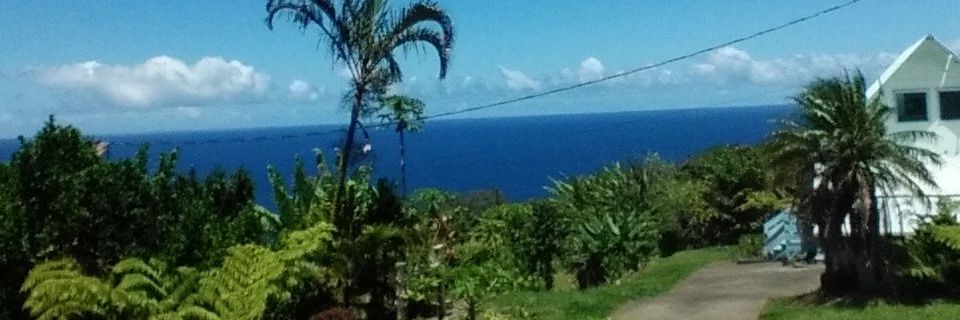 p0e1's profile banner image