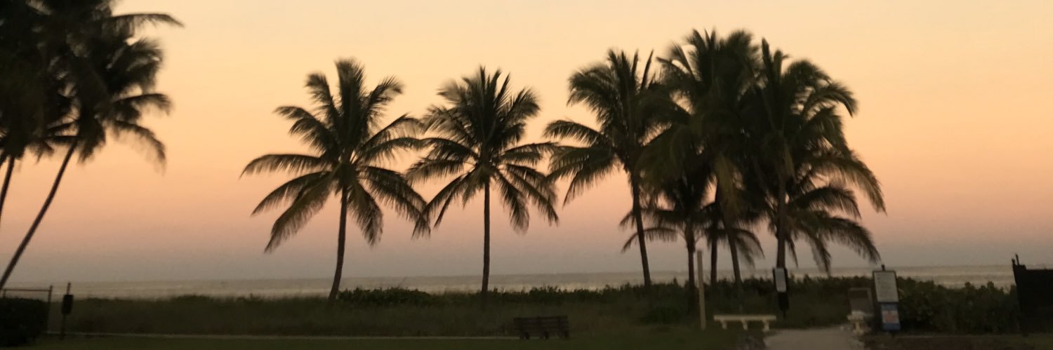 amybidwill's profile banner image