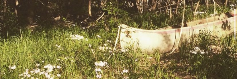 sierrahammond_'s profile banner image