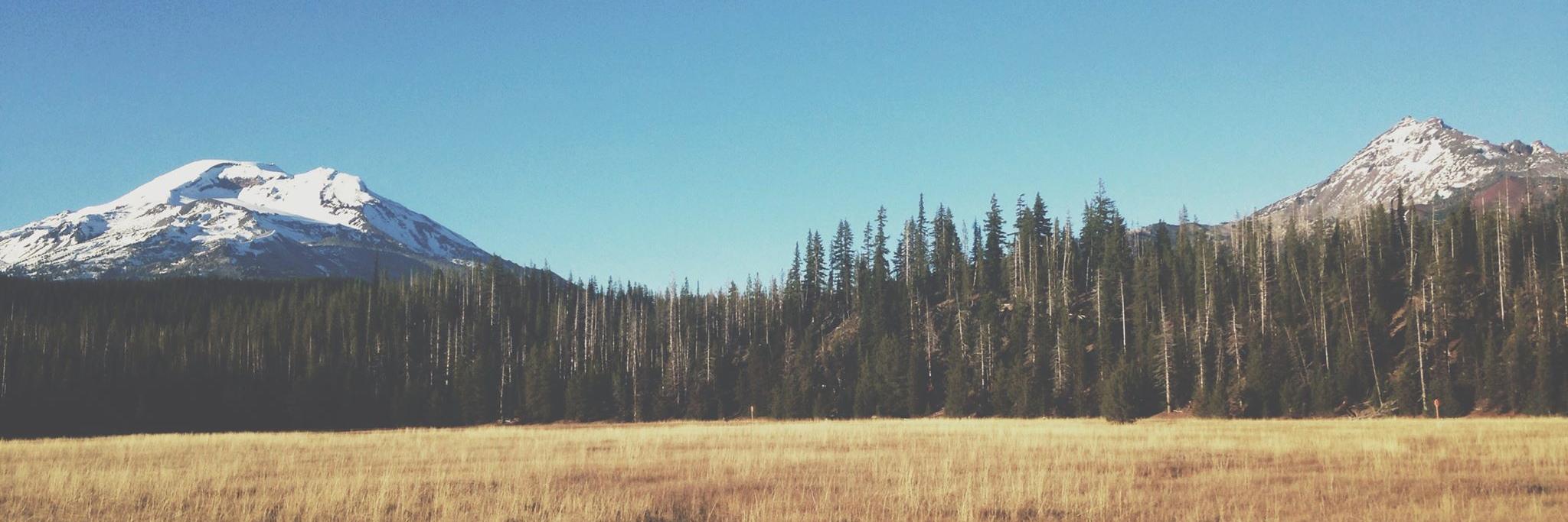 ReeseDani's profile banner image