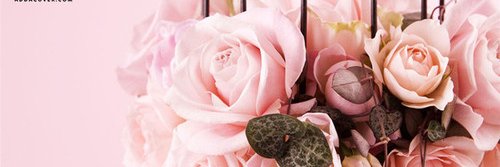 Linda Leigh banner