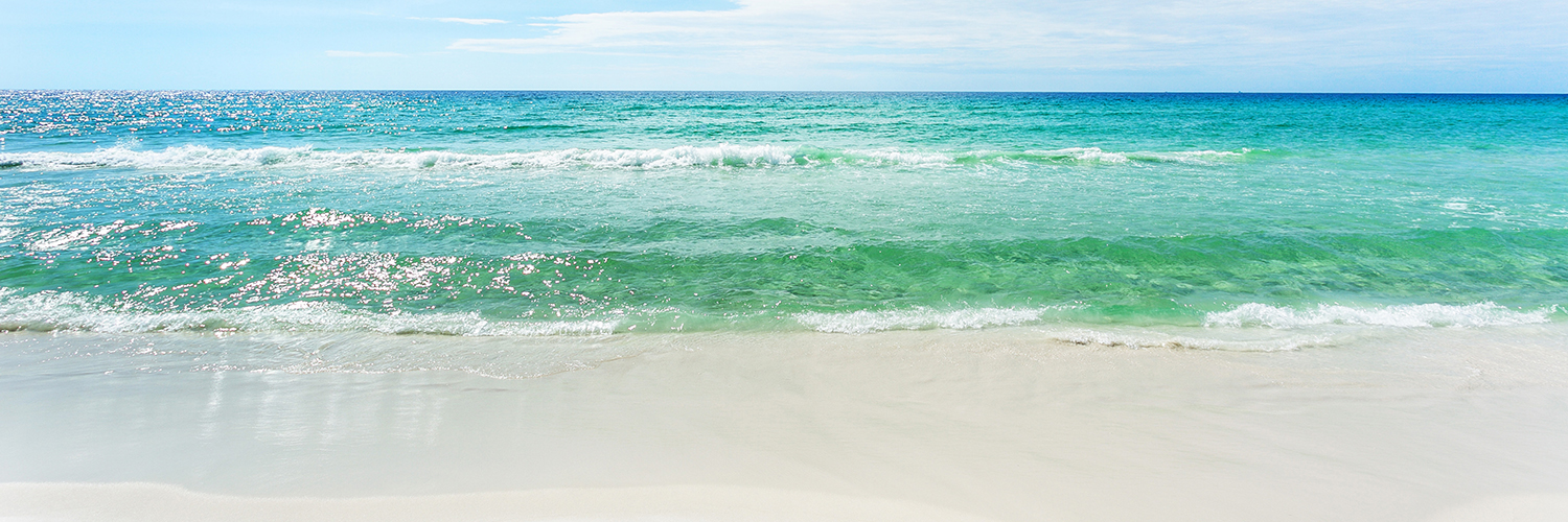 Southern Vacation Rentals banner