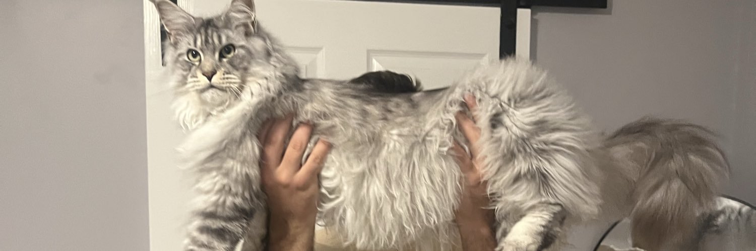 _mAlt27's profile banner image