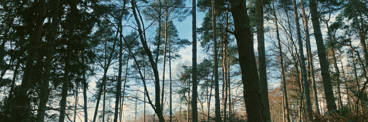 kadeythompson's profile banner image