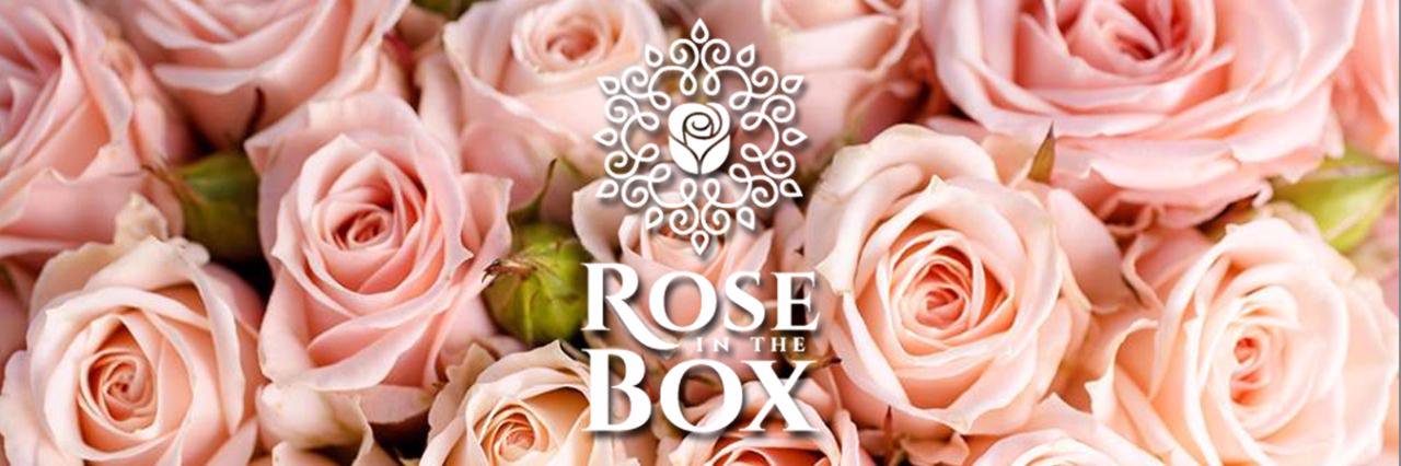 RoseInTheBox's profile banner image