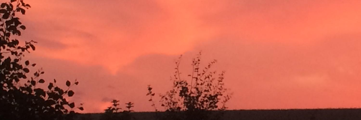 meestervos's profile banner image
