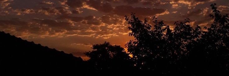 A___n10's profile banner image