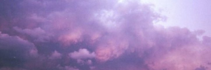 ashdebreceni's profile banner image