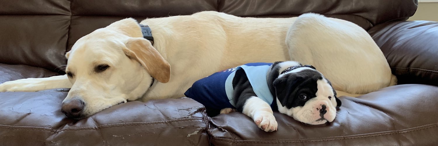 Chris Opheikens banner