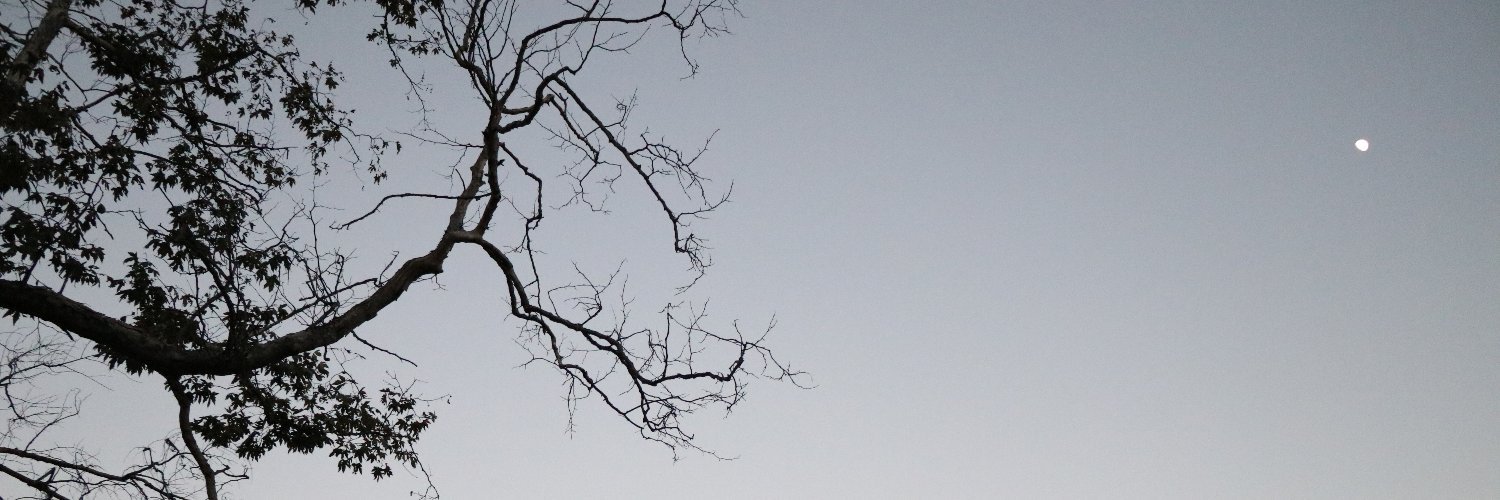 therealatj's profile banner image