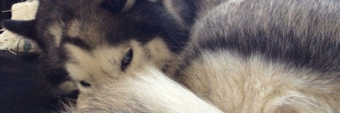 Arun Bhardwaj banner