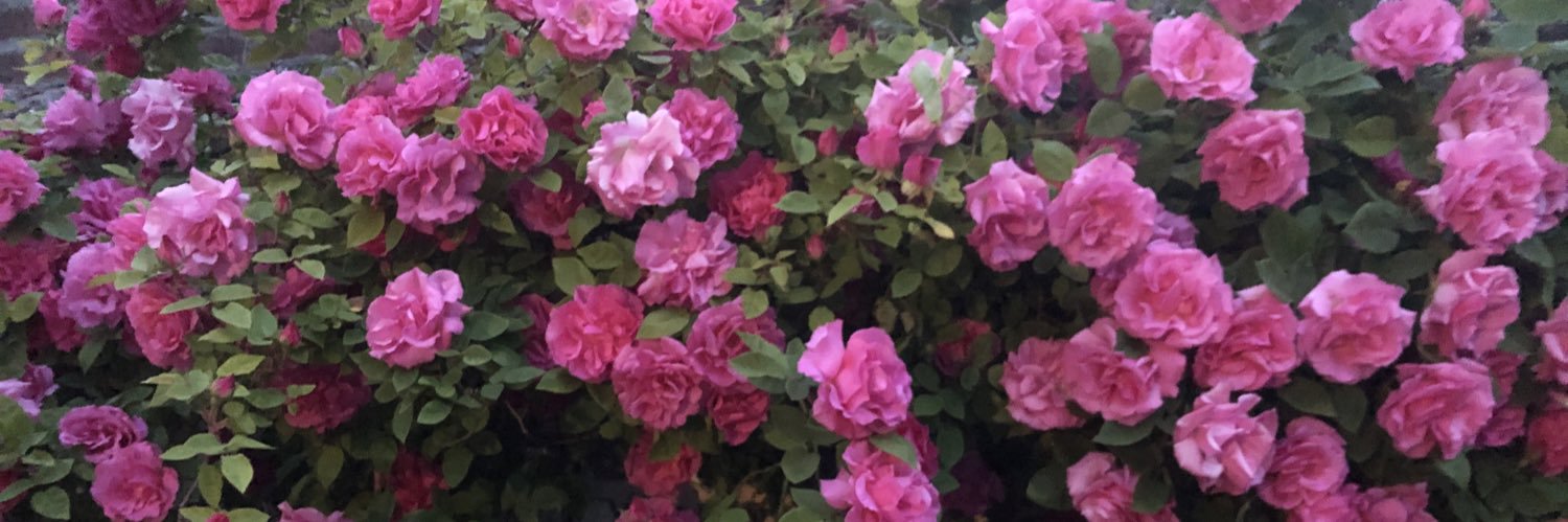 Estelle RODES banner