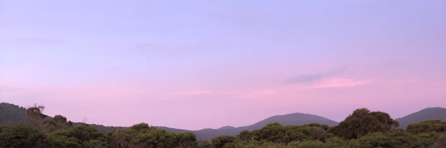 Sebastian Scheer banner