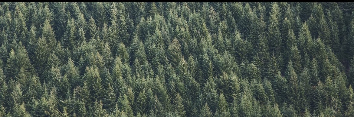 grahamwardleH's profile banner image