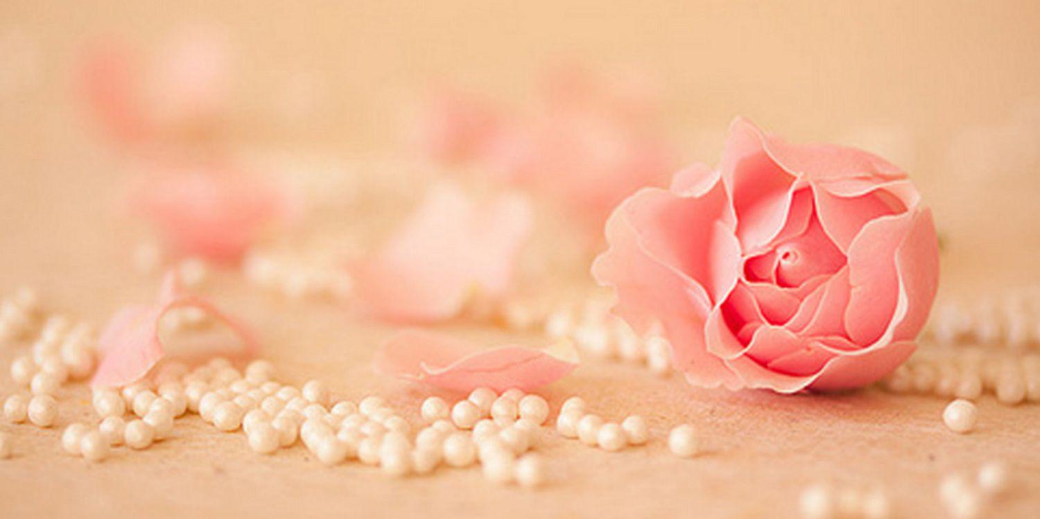 Primadhiaa's profile banner image