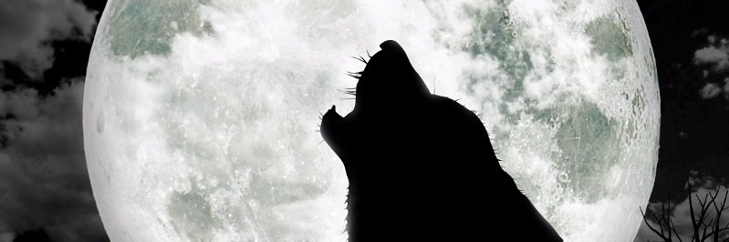 AlbertoChegue's profile banner image