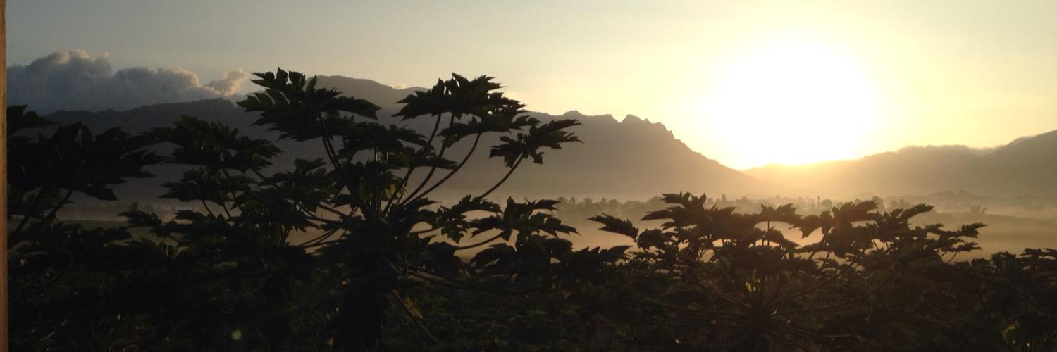 alfarrell_13's profile banner image