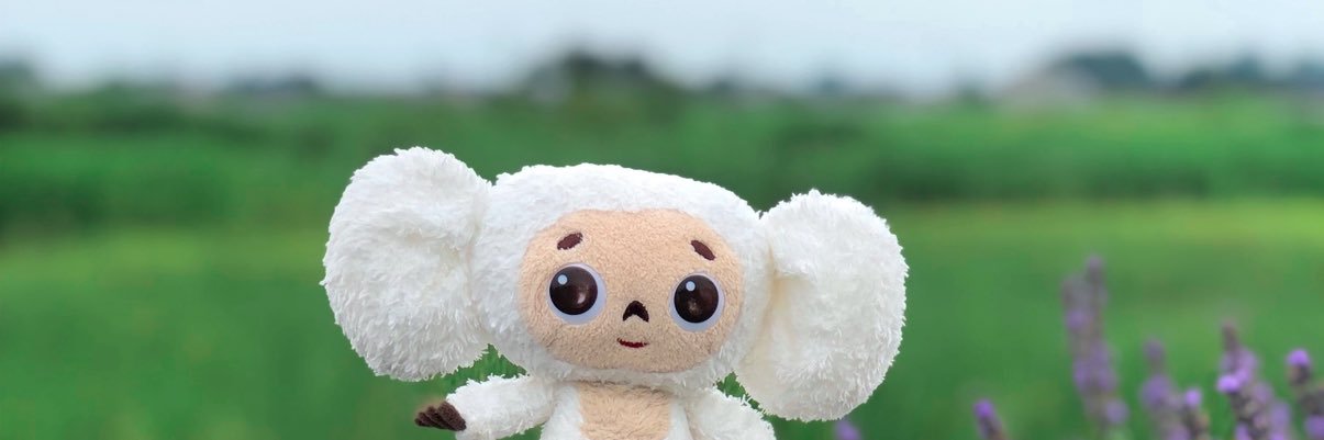fairy__mama's profile banner image
