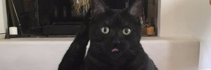 Ryad Ouslimani banner