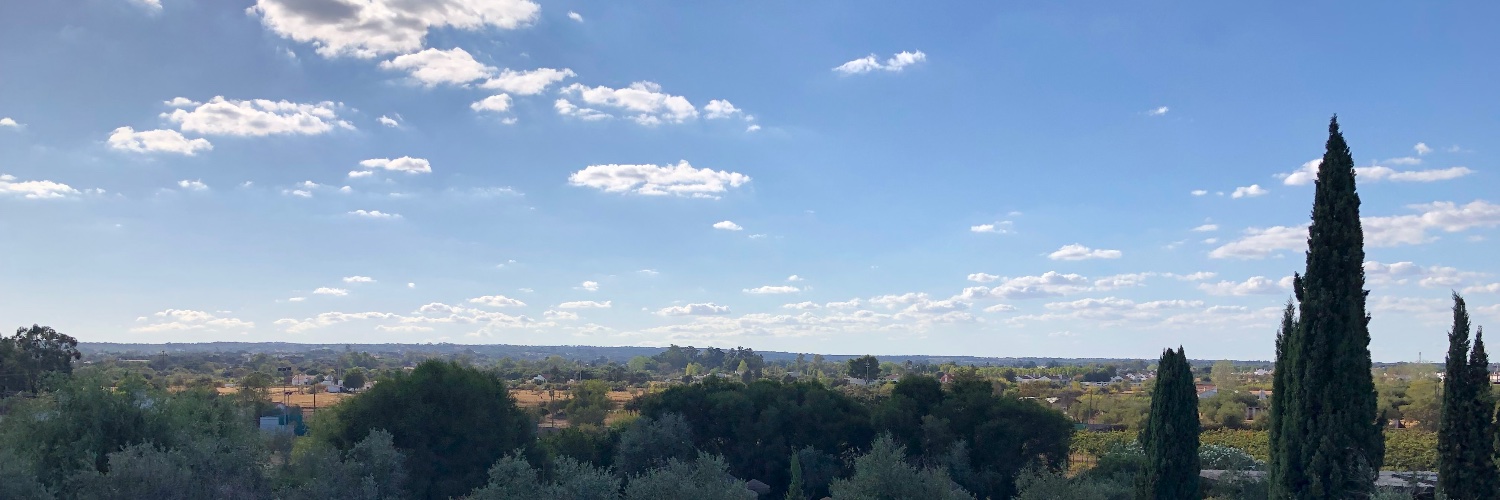 Florian Bamberg banner