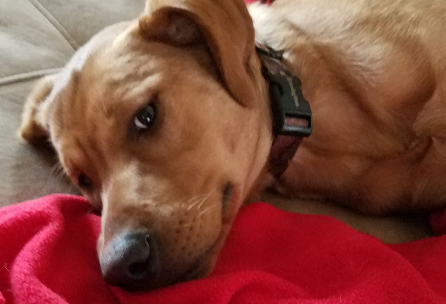 RyanRichgels's profile banner image