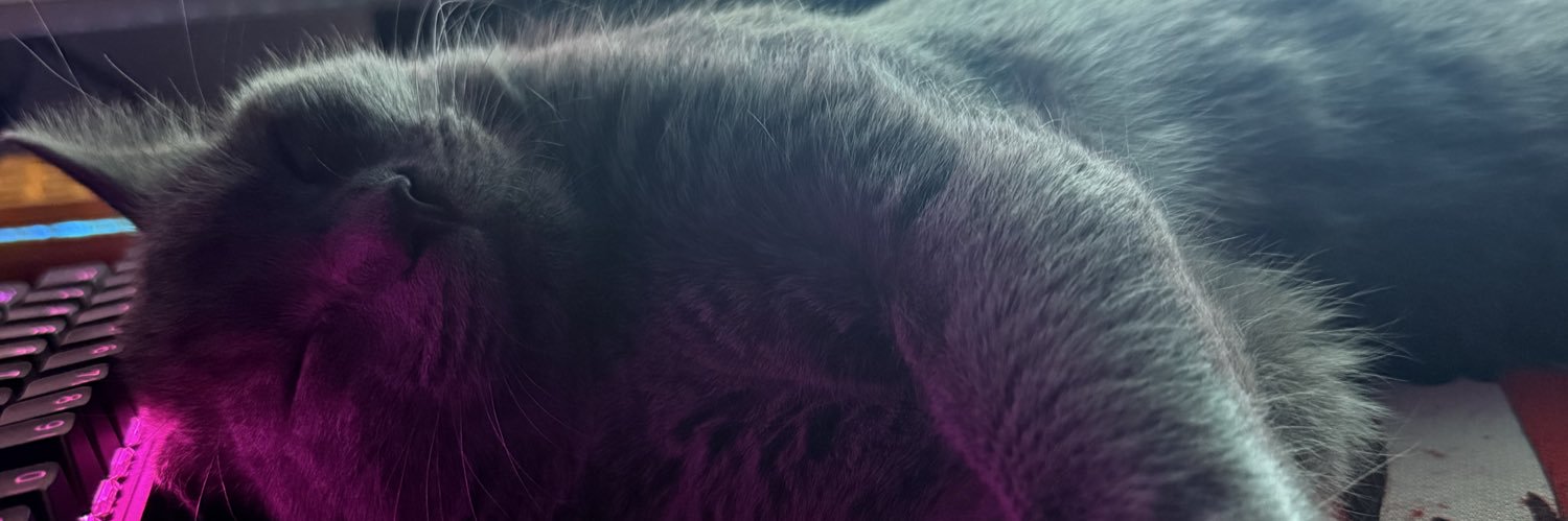 RareSolution's profile banner image