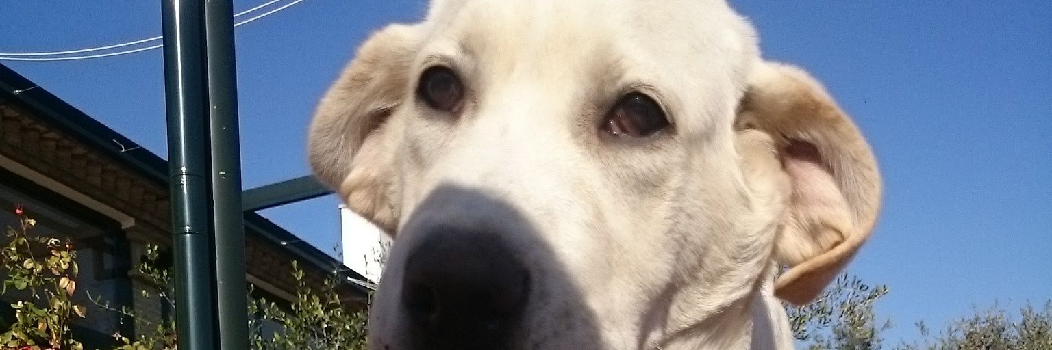 BorjaUtr's profile banner image