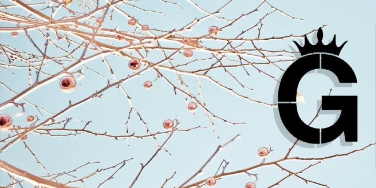 GoldenMadume's profile banner image