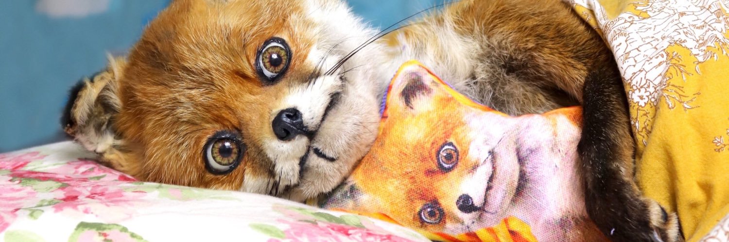 nickandpolly's profile banner image