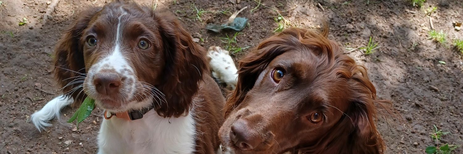 Princess Milly Molly 🇬🇧 banner