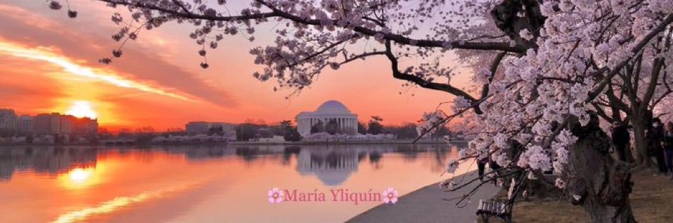MMMaryluna's profile banner image