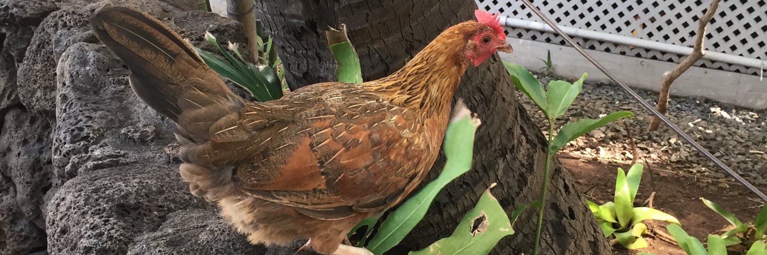 rotten__'s profile banner image