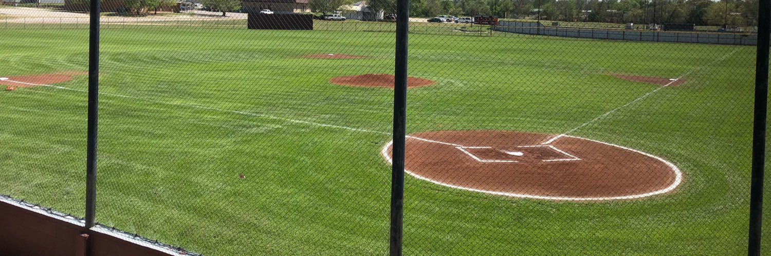 De Leon Baseball banner