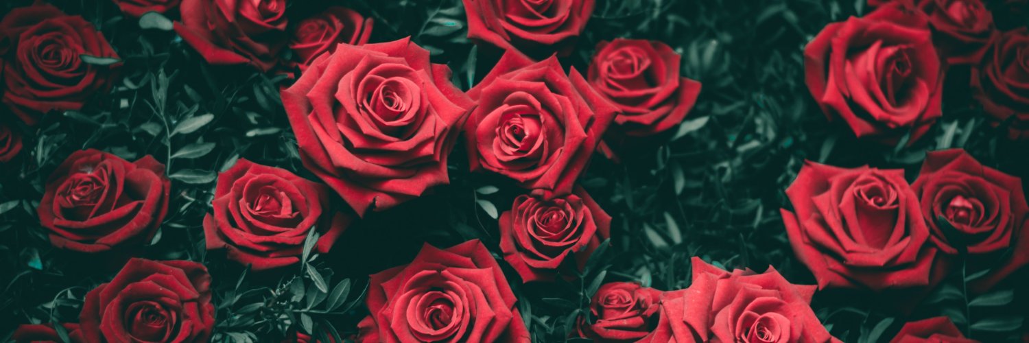 XxtRogerio's profile banner image