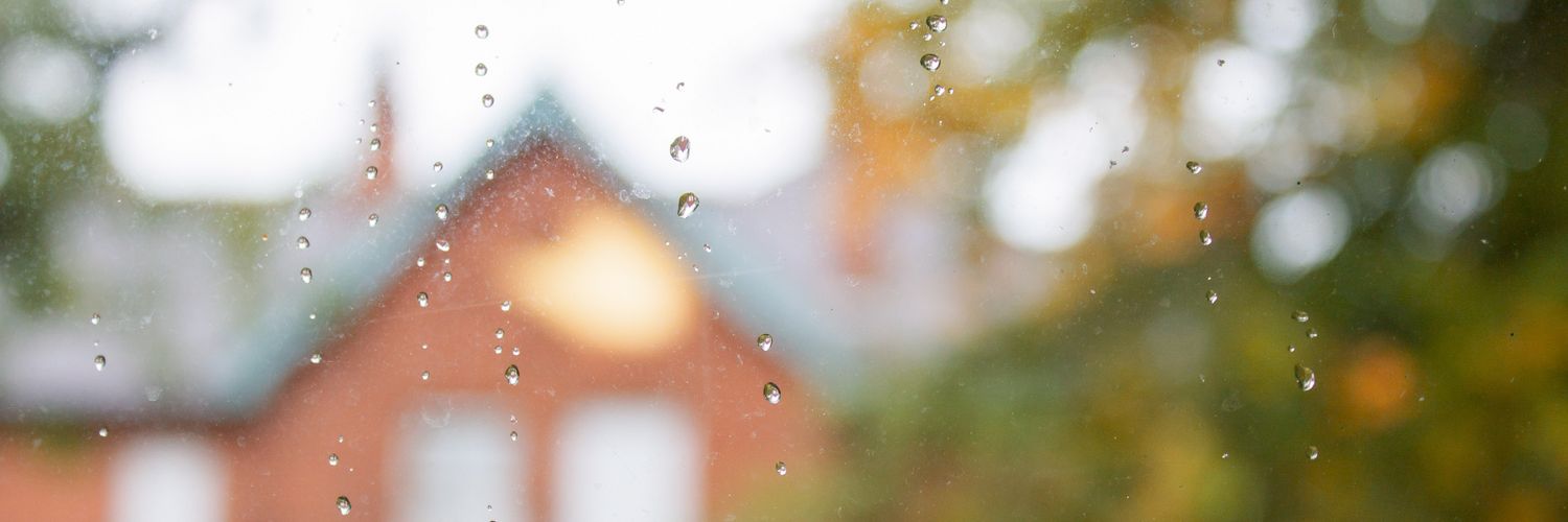 Elena 🍁 banner