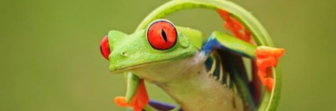 TeemoQuinton's profile banner image