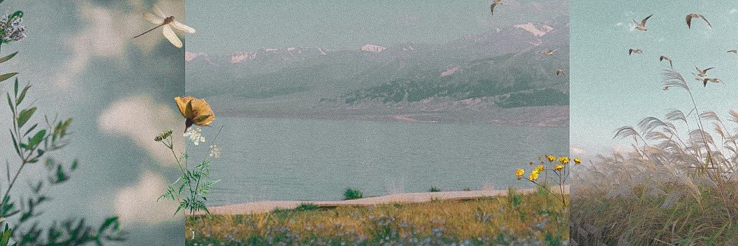 zo 𓇼 ˖°｡'s banner