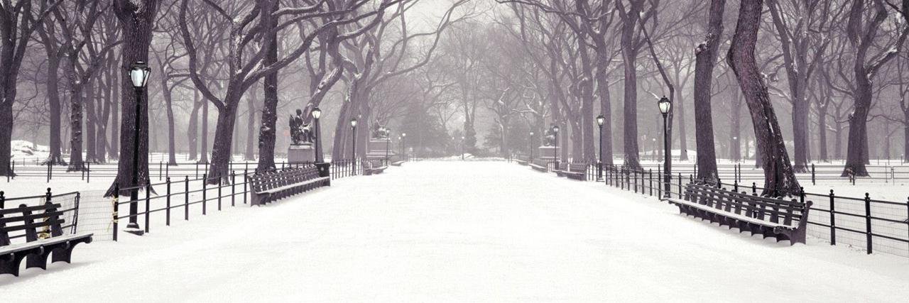 WinterHeartsRPG's profile banner image