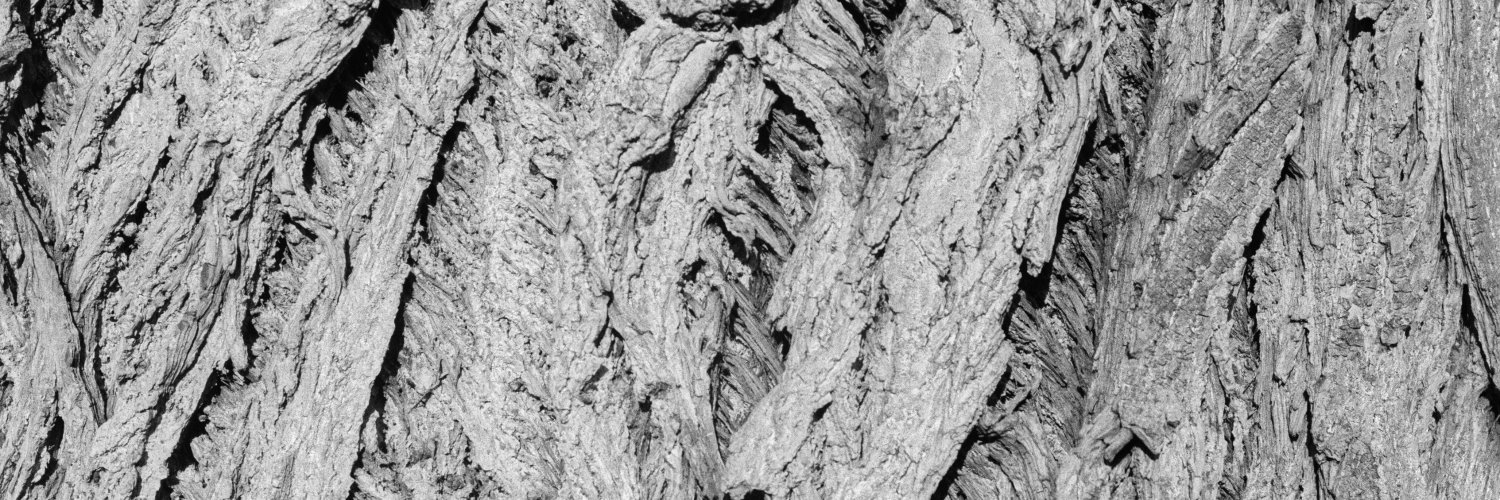 Miguel Rivera 🥭 banner