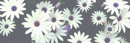 Sarahgracethomp's profile banner image