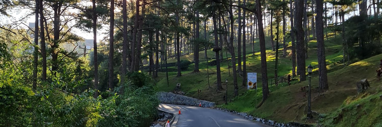 JanDipasupil's profile banner image