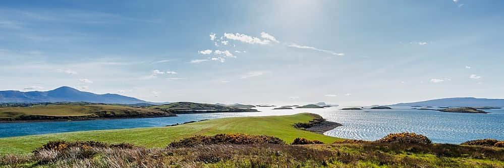 Lisa Chambers banner