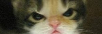 midgetsquid75's profile banner image