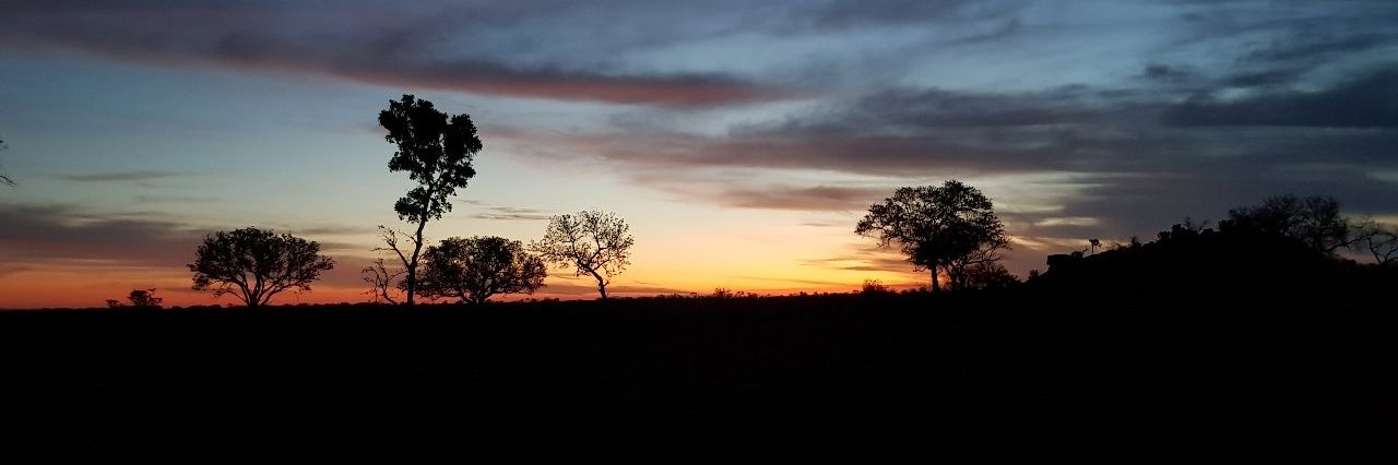 bert_elberse's profile banner image