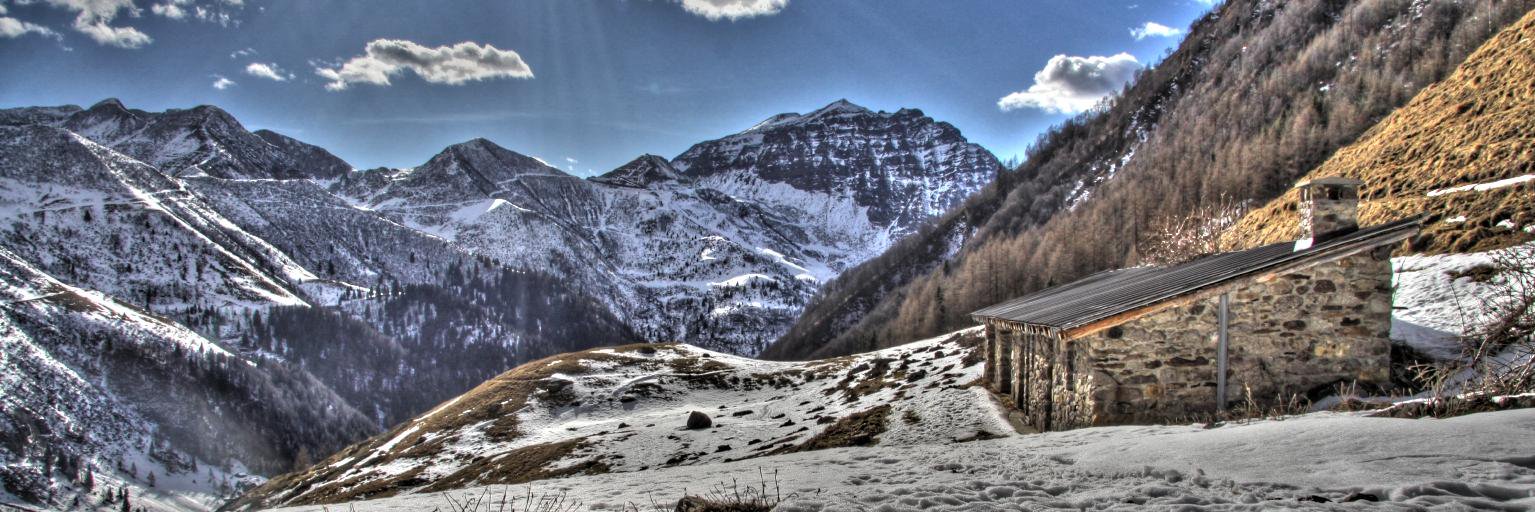 Semper79 🐍 banner