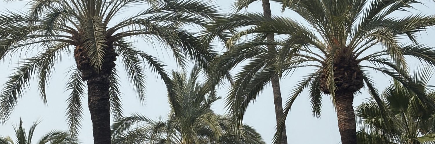 ZoeTurton's profile banner image