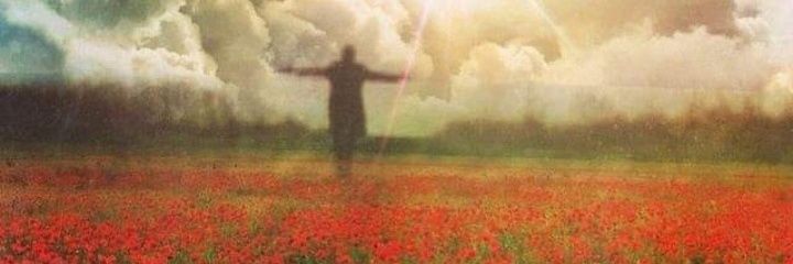 miryusuftaha's profile banner image