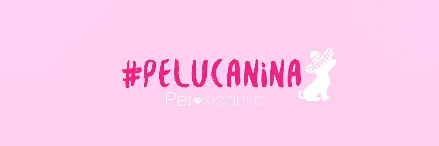 petxicanito's profile banner image