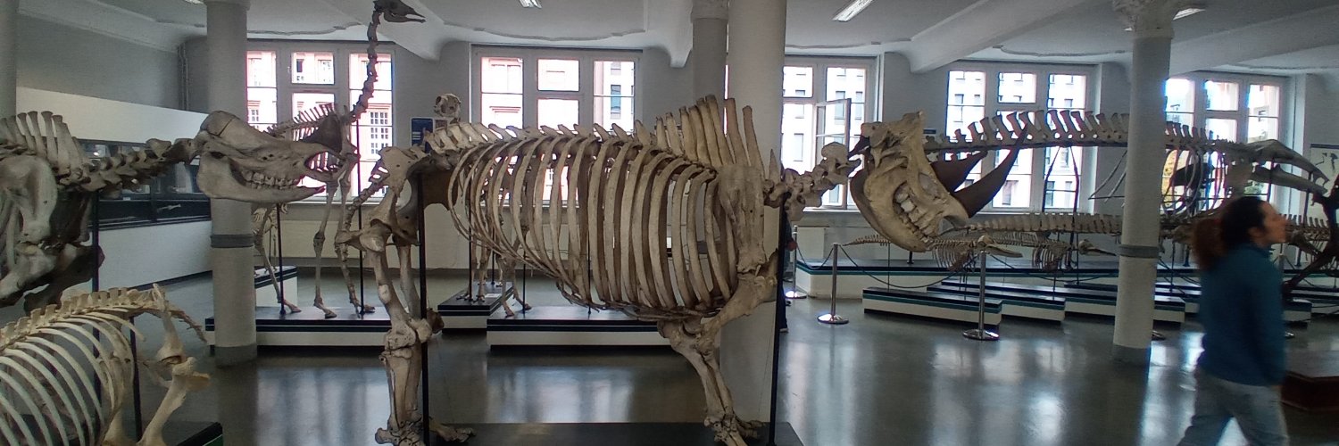 Luca Pandolfi banner