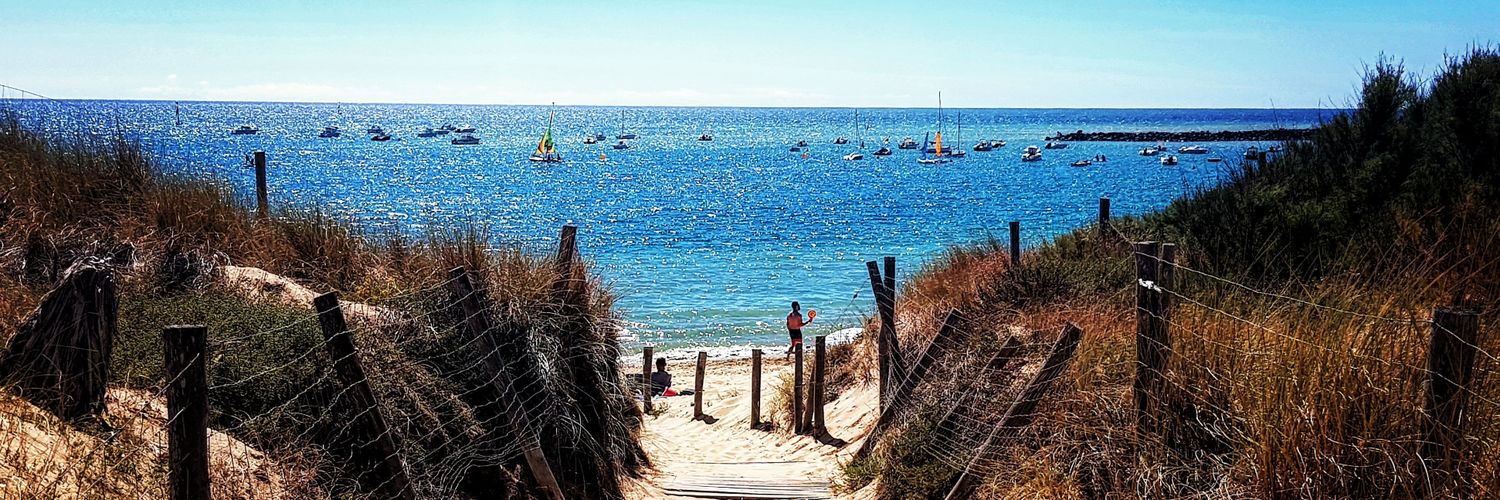 Marion Pignot banner